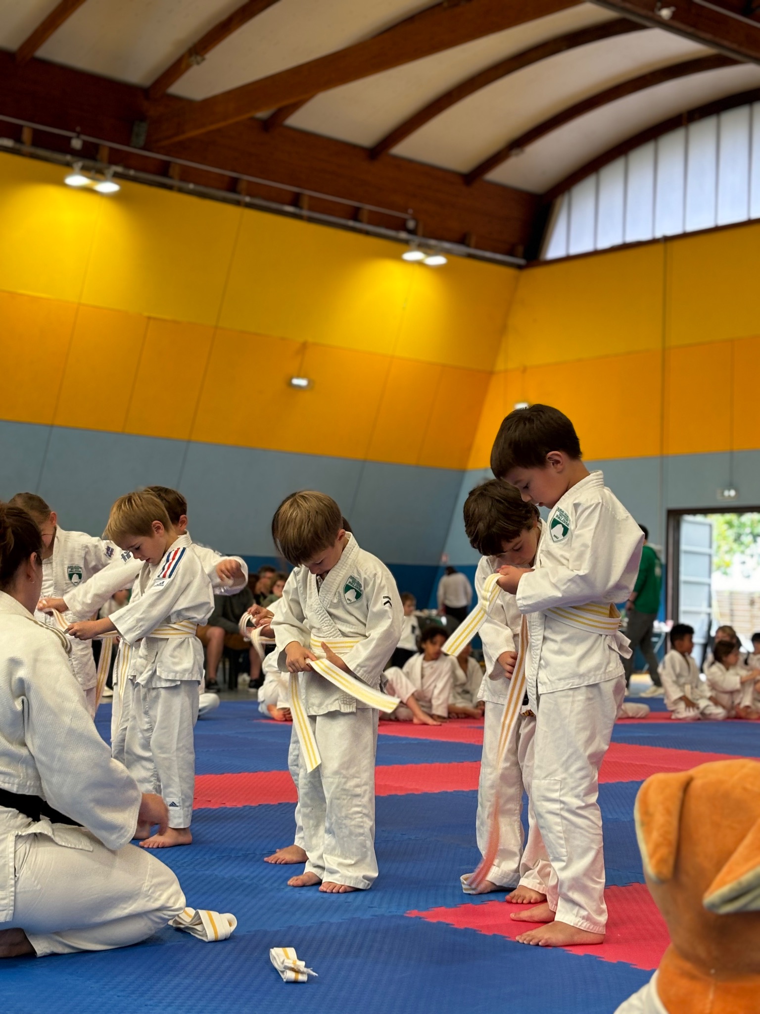 Cours de éveil judo — Section Paloise Judo Pau