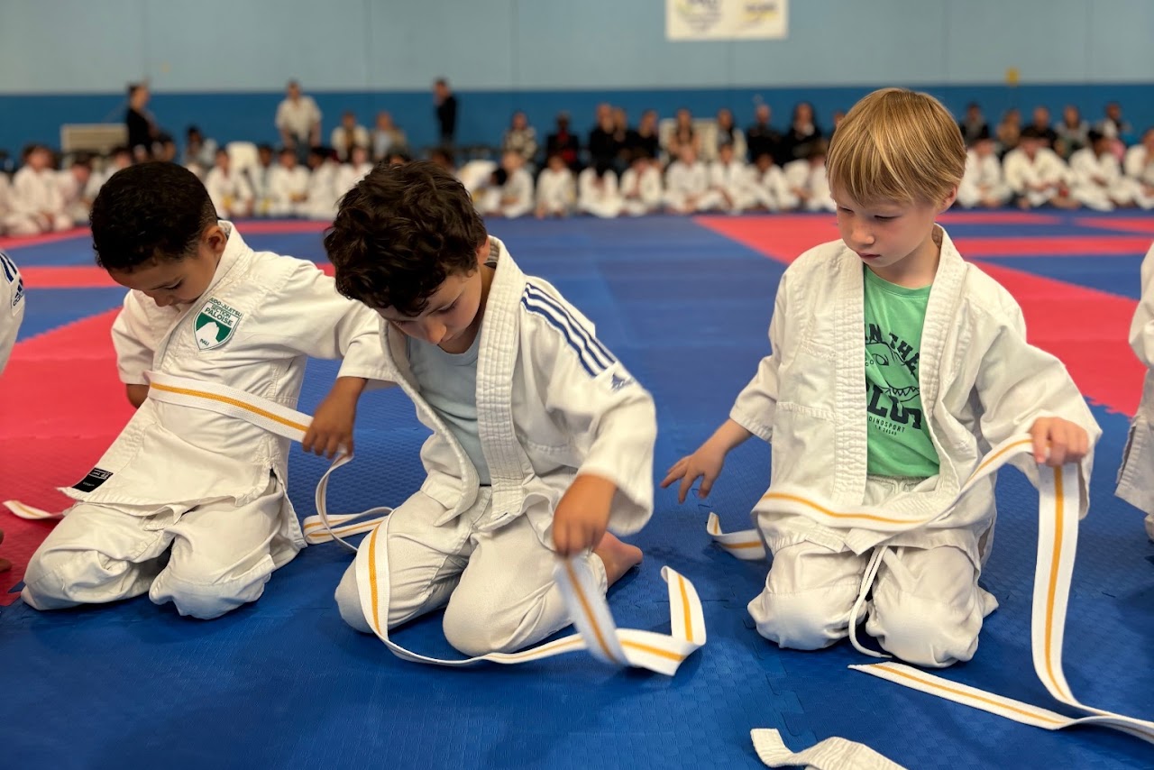 Remise des ceintures — Section Paloise Judo JuJitsu